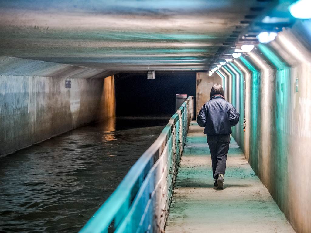 1de5ea95f1ae15502f88ba0aa7229a5be8759115