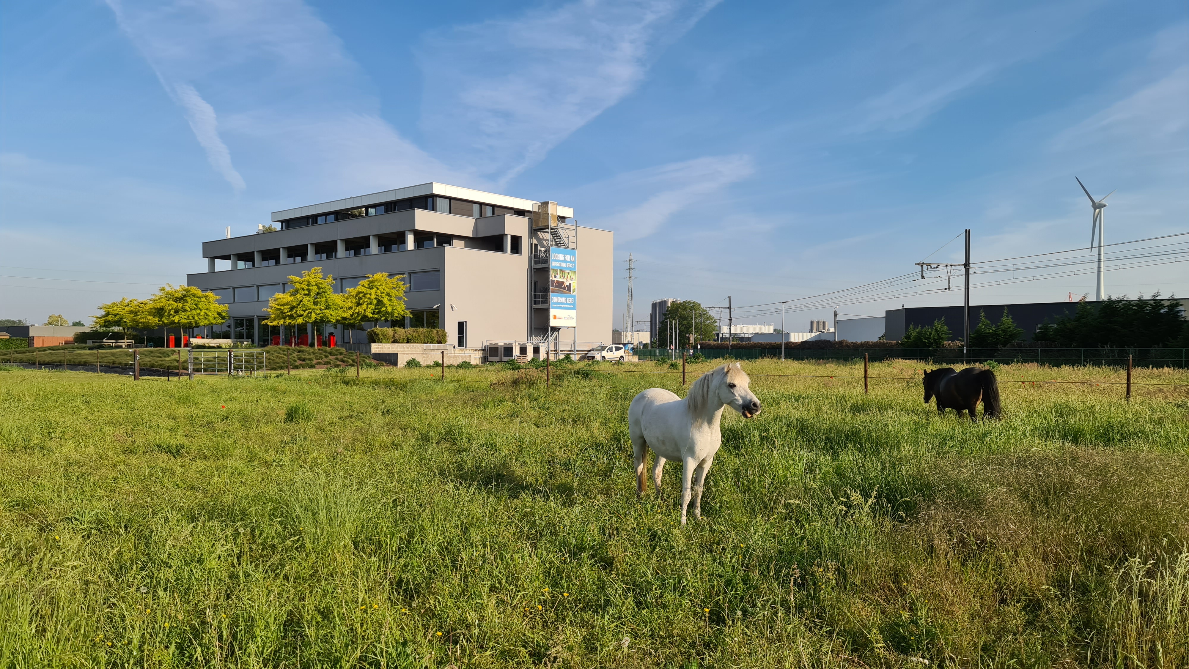 Syneton Building gebouw met de groene velden als uitzicht