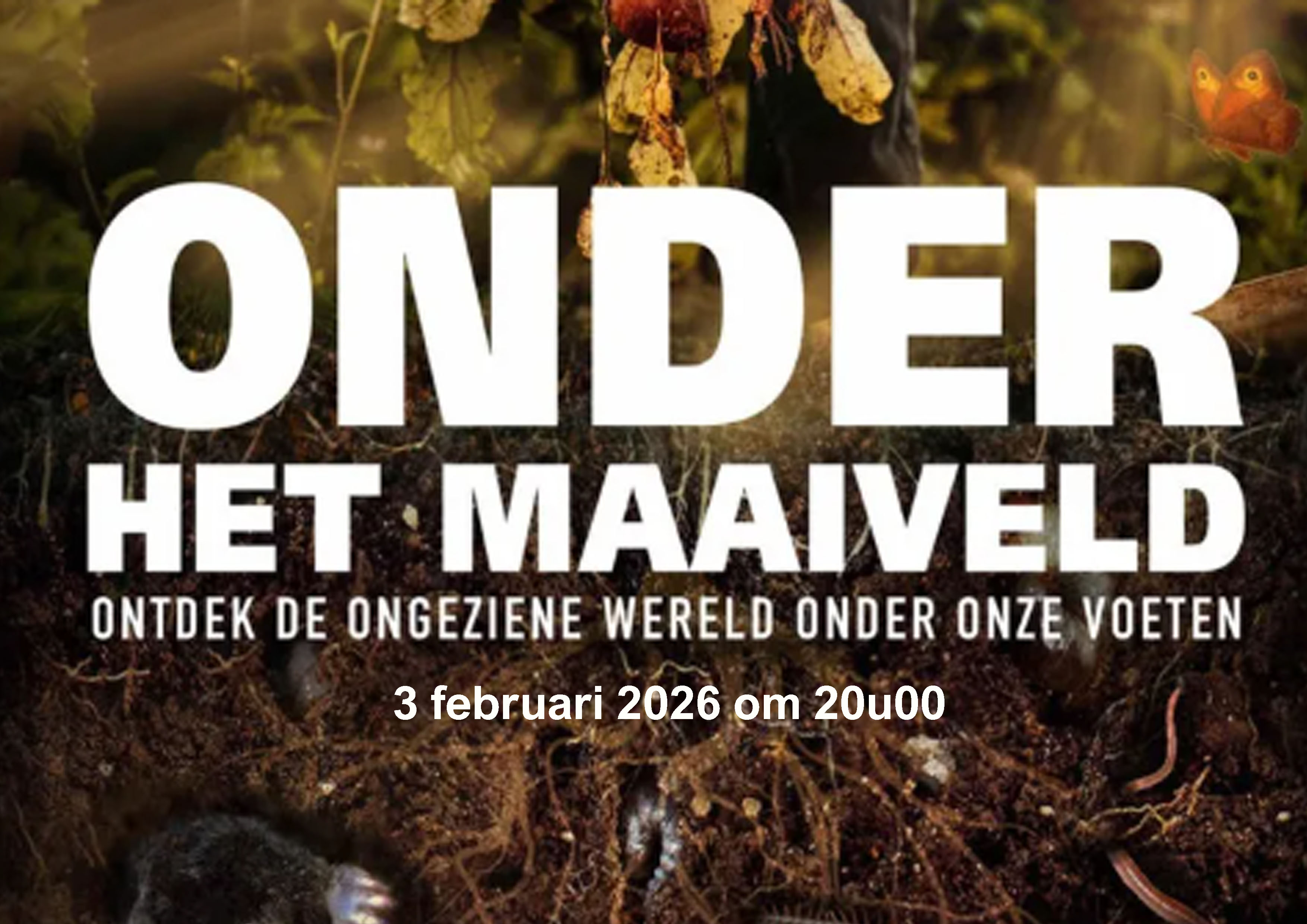Onder het maaiveld