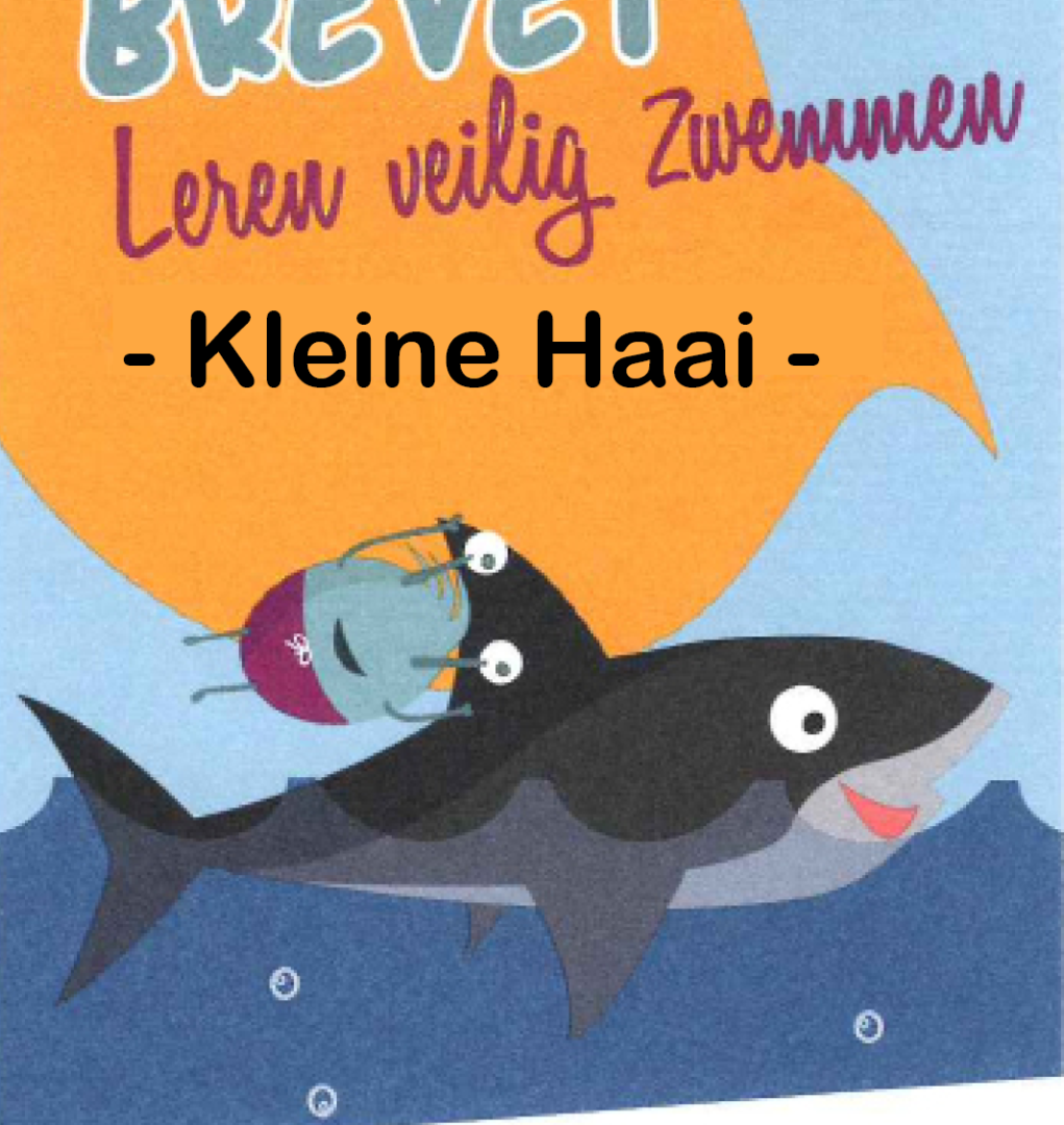 kleine haai voorkant.png
