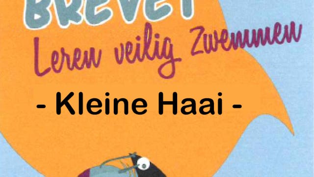 kleine haai voorkant.png