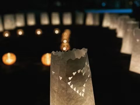 Image for gzbd activity