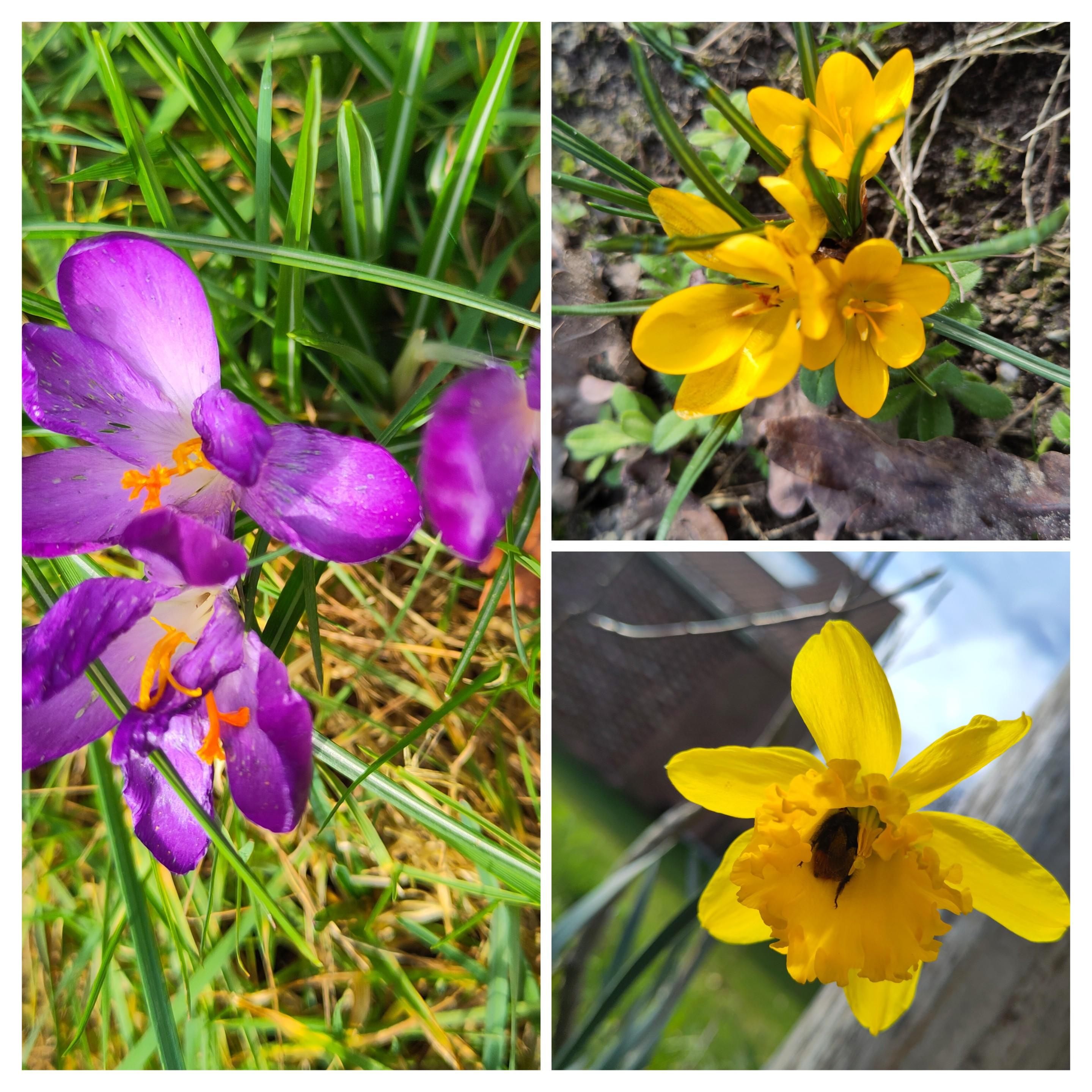 bewust beginnen met bewegen