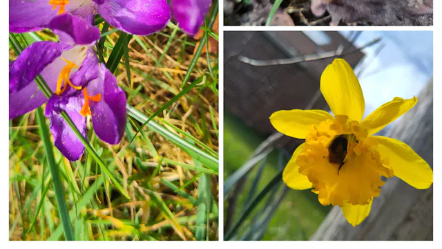 bewust beginnen met bewegen