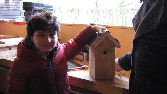 Vogelkastjes bouwen
