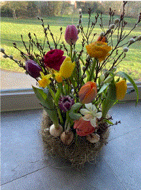 Image for gzbd activity