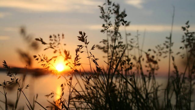 Rouw partnerverlies Limburg