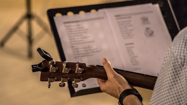 Gitaar