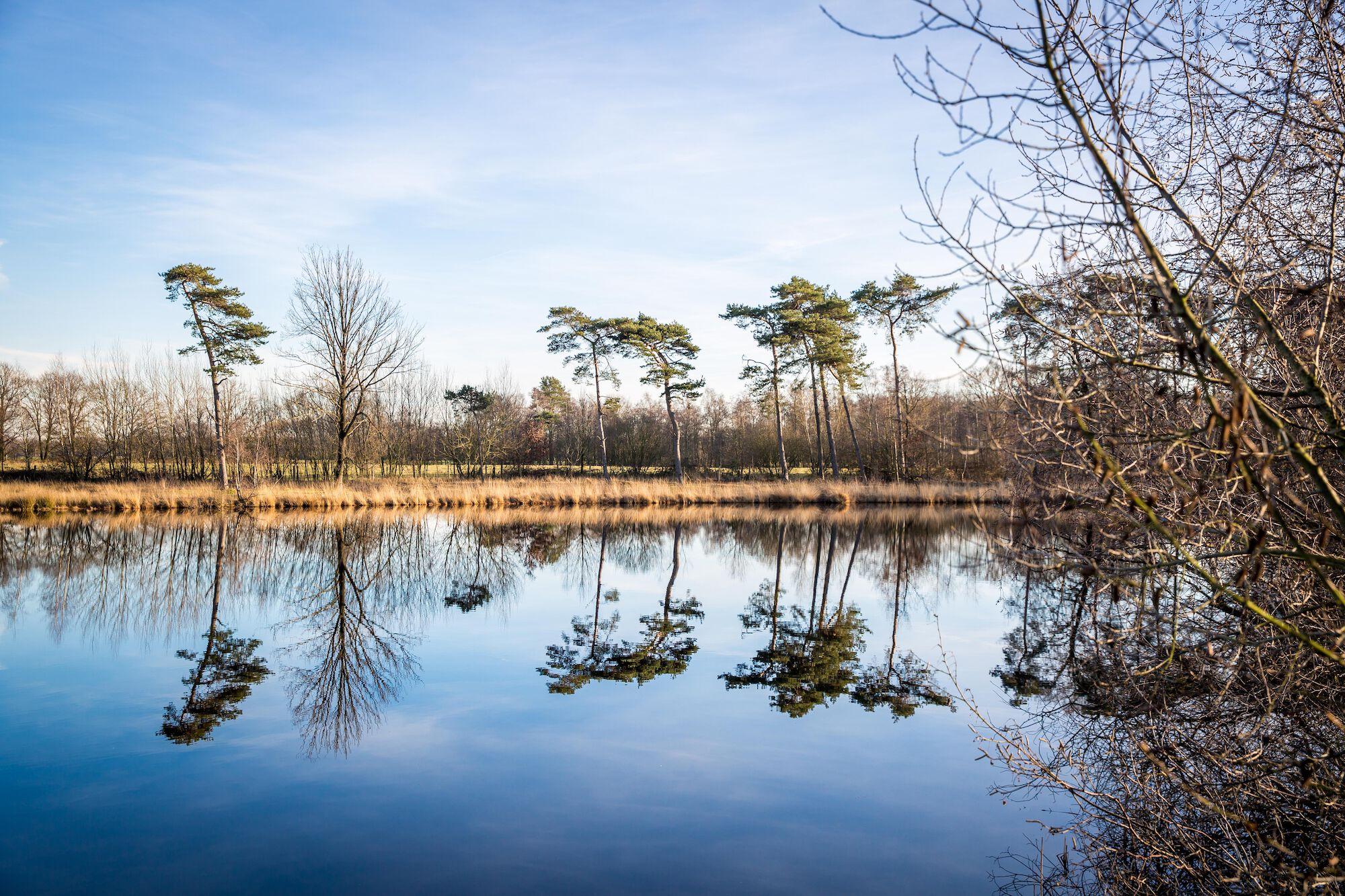 Turnhouts vennengebied