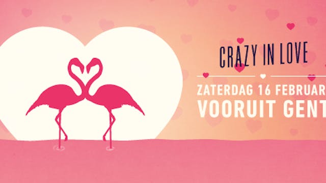 Funky Fabric - Crazy In Love