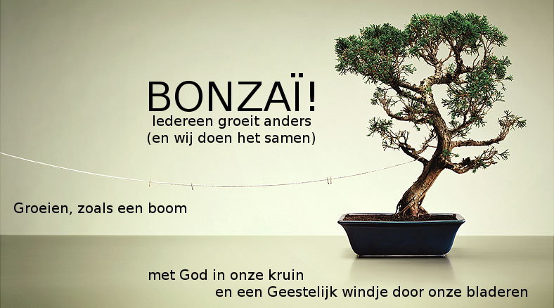 Bonzaï logo