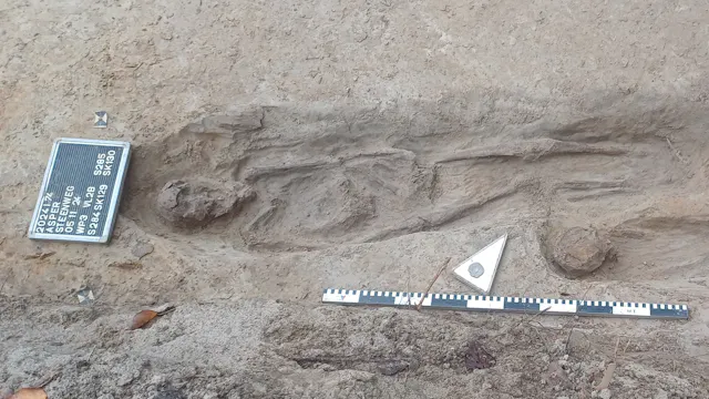 Registreren archeologische vondsten