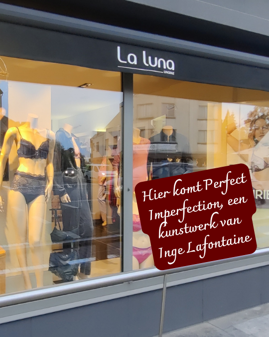 La Luna etalage waar kunstwerk in komt