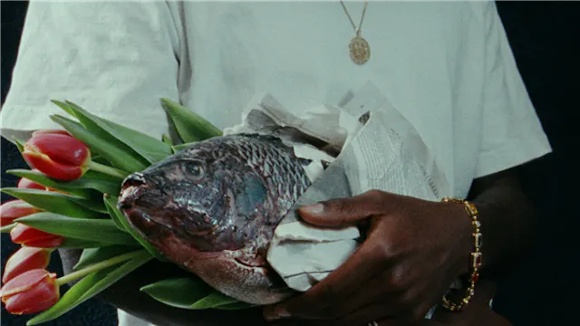 Jeune cinéma belge / Jonge belgische cinema #21