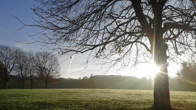 tussen winter en lente
