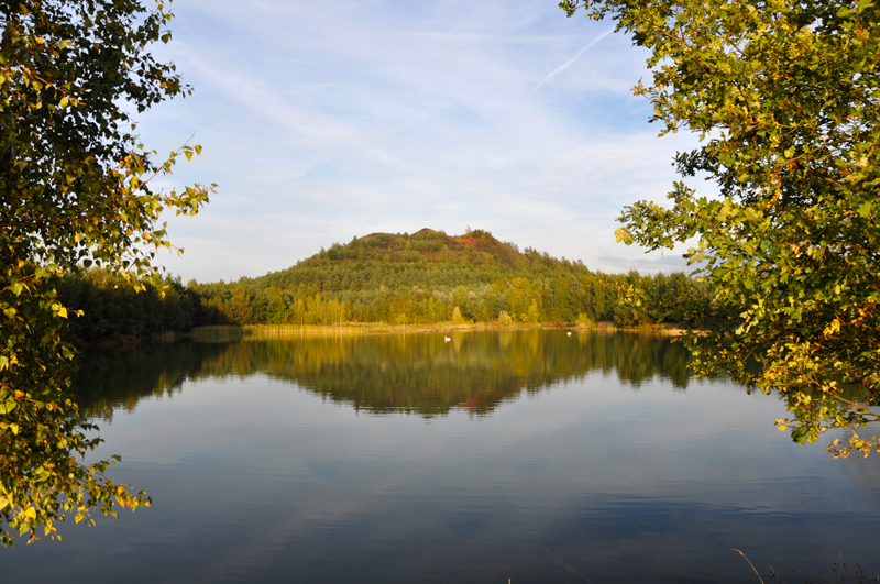 Gezondheidswandeling