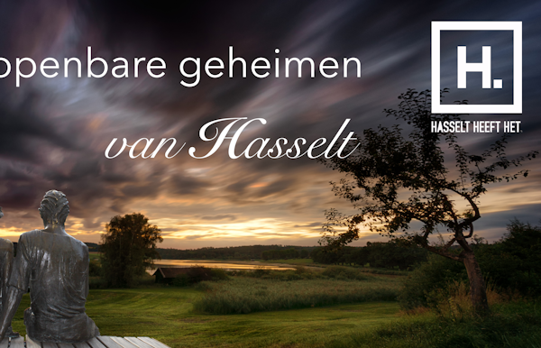 Banner - De Openbare geheimen van Hasselt