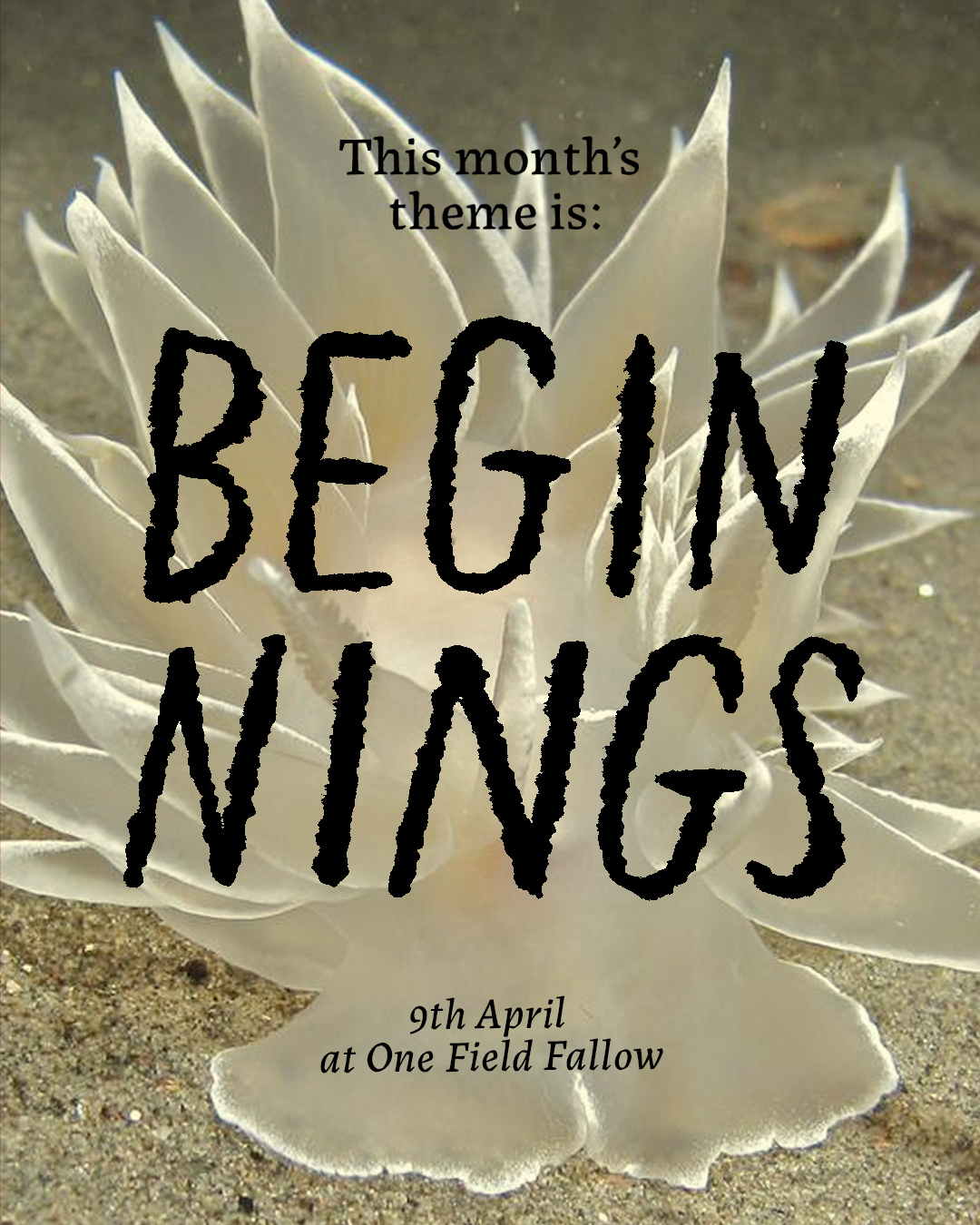 Litterbox: Writing Playground