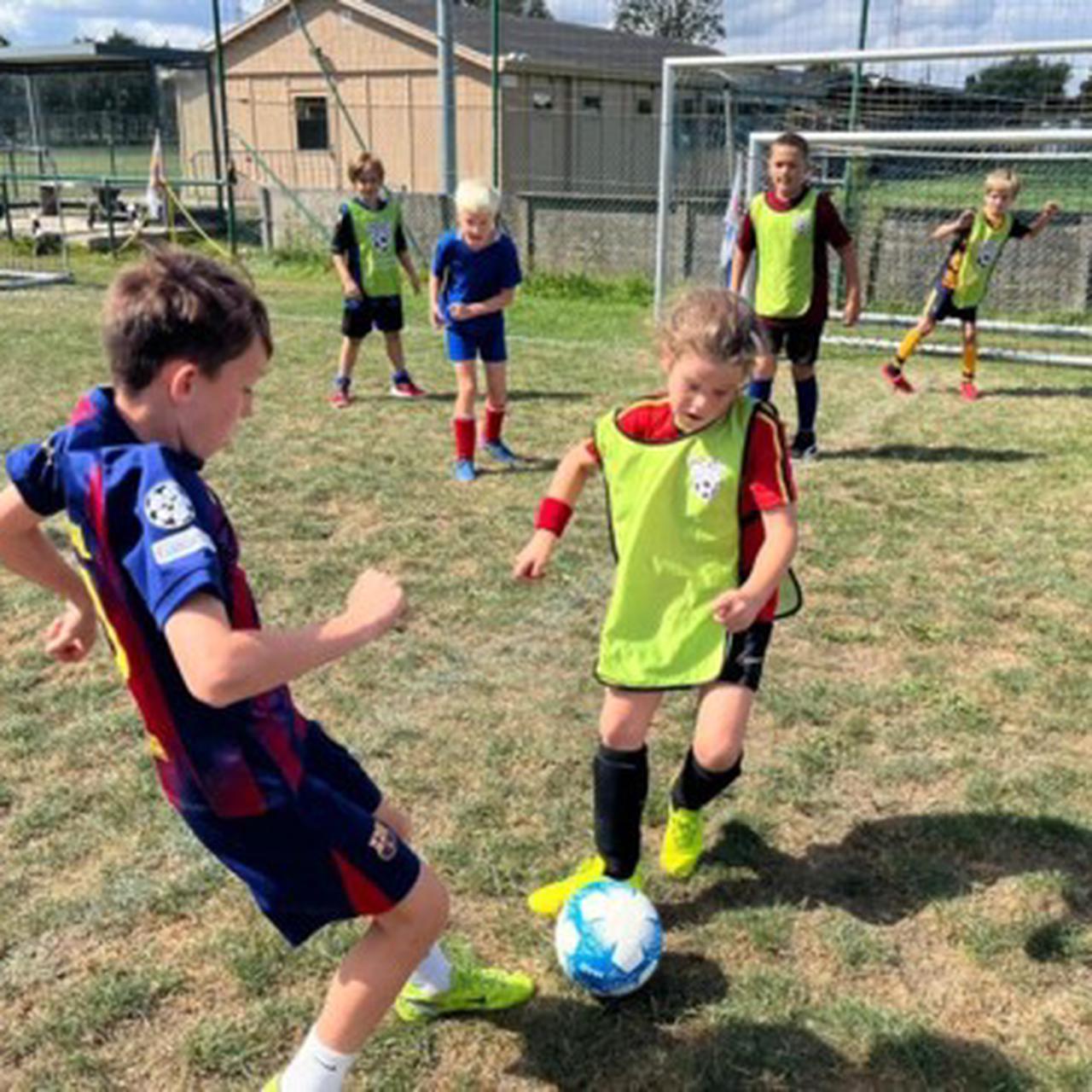 Zomerstage augustus - Hooglede