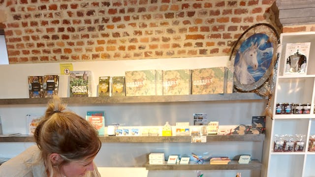 Schatten van Vlieg in de Abdij van Herkenrode