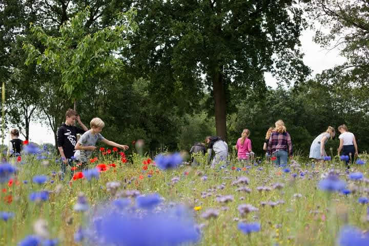 eetbare wilde planten workshop & lunch