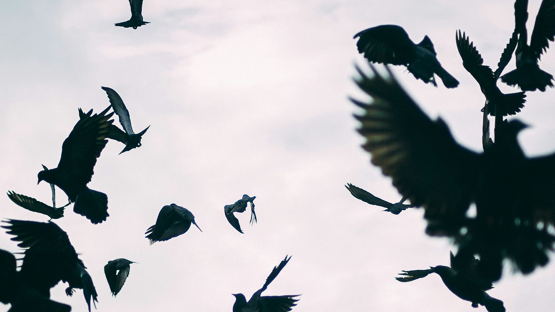 Archief van mogelijk verlies - Boekvoorstelling