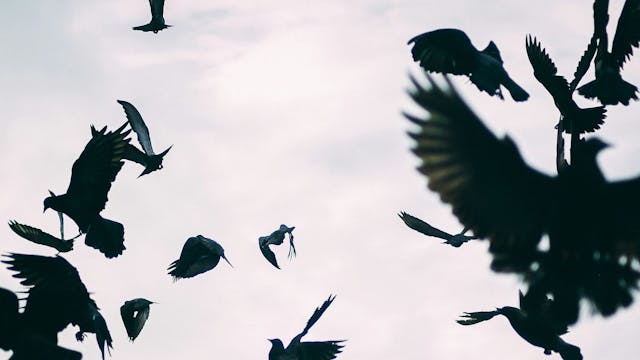 Archief van mogelijk verlies - Boekvoorstelling