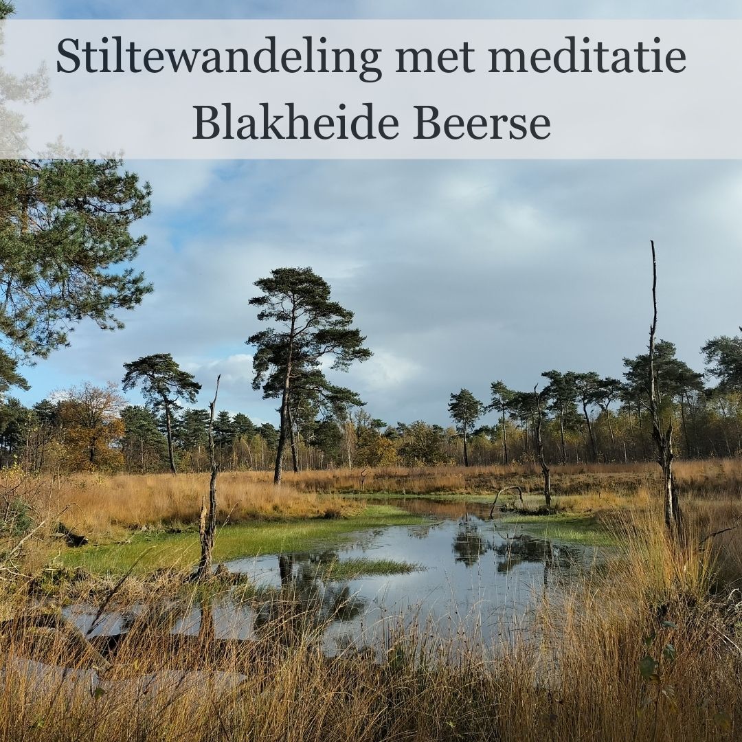 Stiltewandeling Blakheide