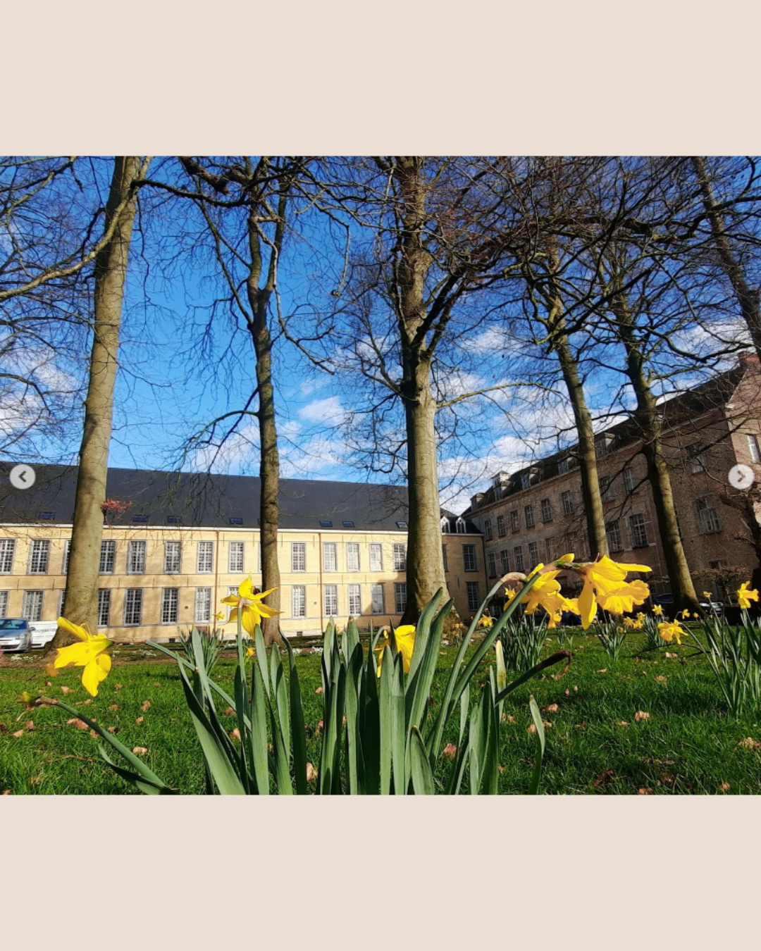 Makersmarkt in de Oude Abdij Drongen 