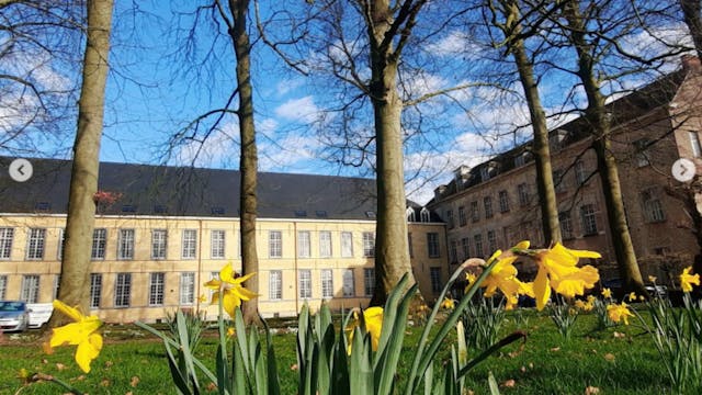 Makersmarkt in de Oude Abdij Drongen