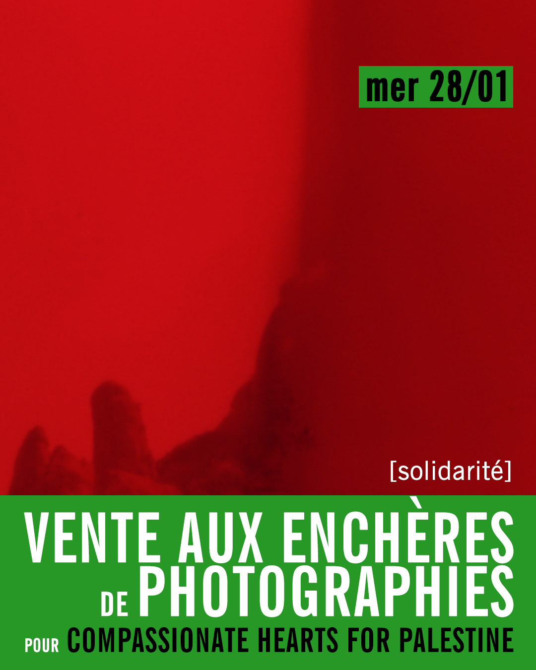 Vente aux enchères photos pour Compassionate Hearts for Palestine