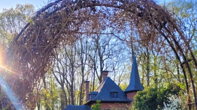 Foto voor CS Jong cursus