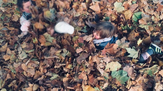 FALL - Theater FroeFroe/Tina Heylen