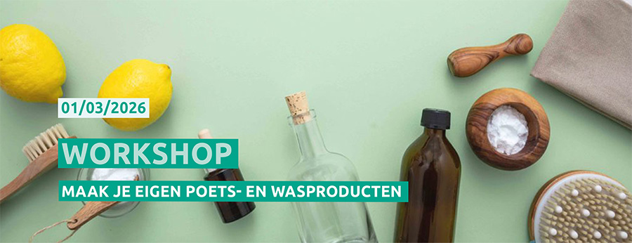 Workshop maak je eigen poets- en wasproducten