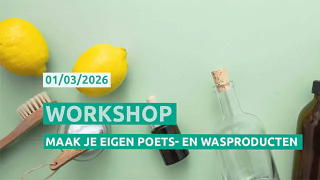 Workshop maak je eigen poets- en wasproducten