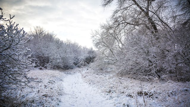 Hart(je) voor de winter
