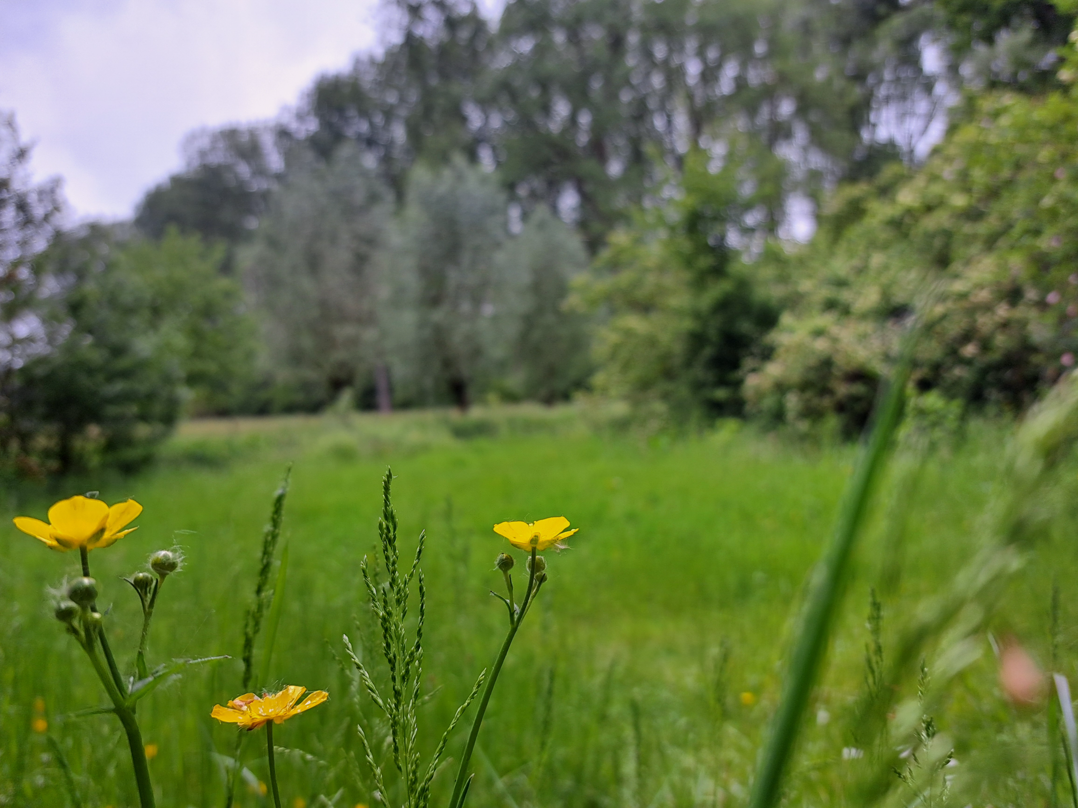 Begeleide wandeling - Ontdek het verborgen verhaal van Geraardsbergen