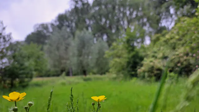 Begeleide wandeling - Ontdek het verborgen verhaal van Geraardsbergen