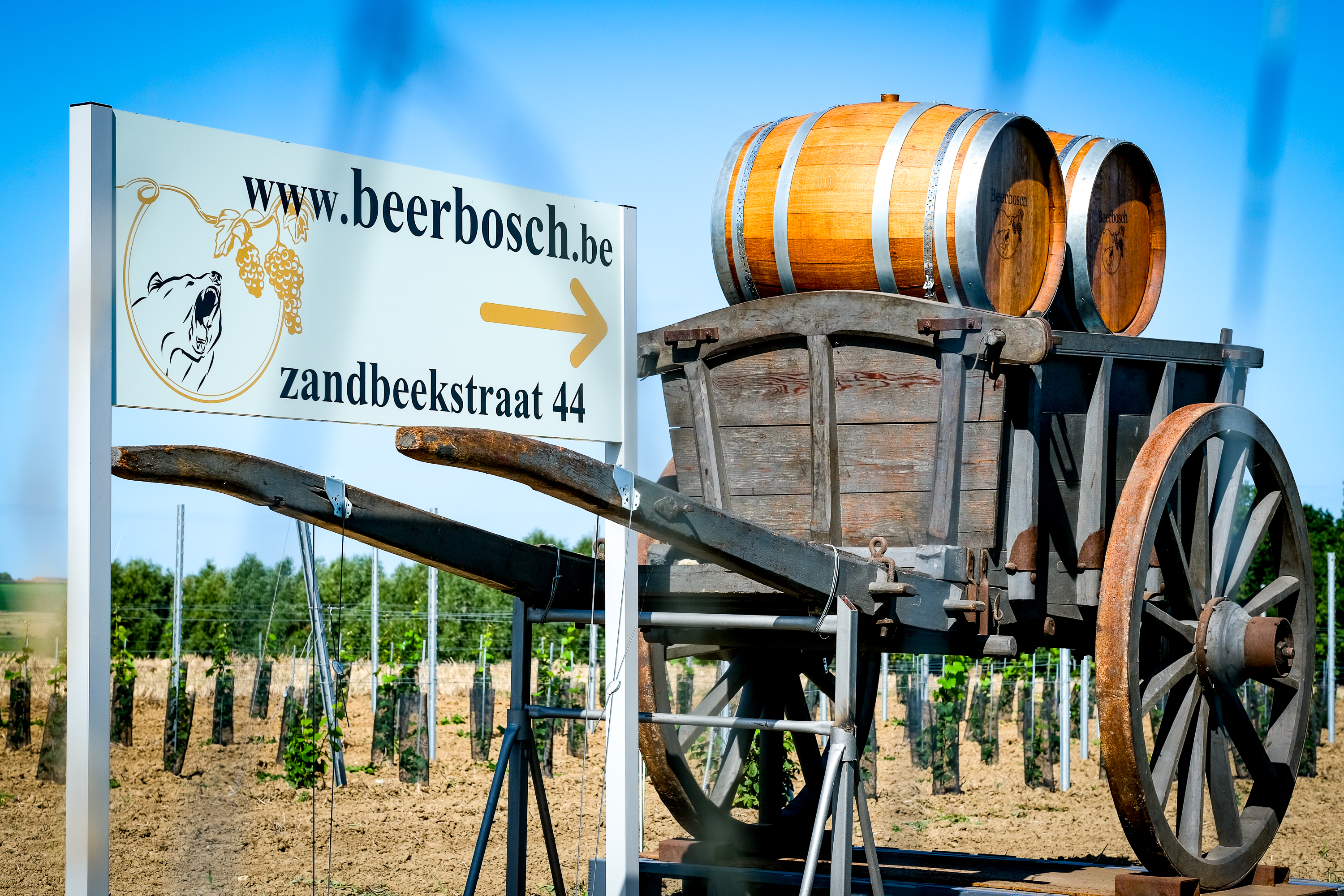wijndomein Beerbosch