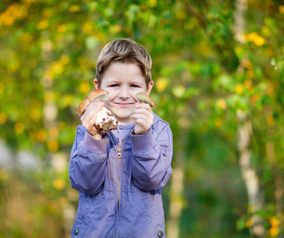 Forest School: Paddenstoelensafari