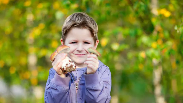 Forest School: Paddenstoelensafari