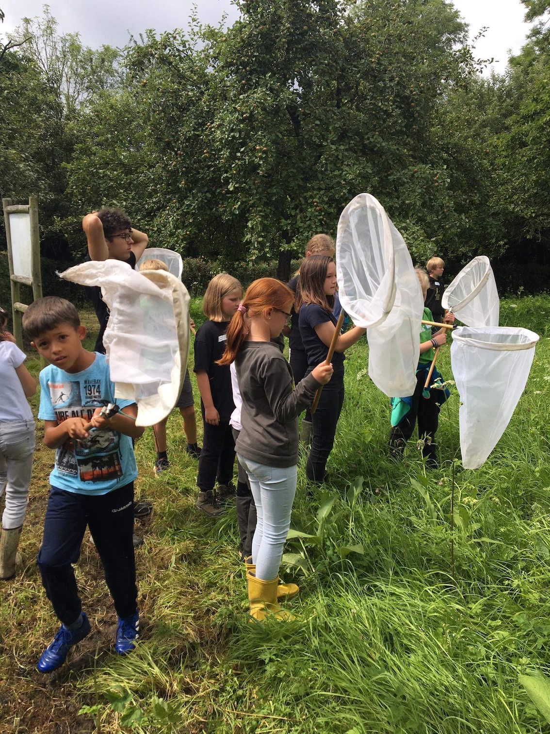 Vlinders vangen @ The Hedge