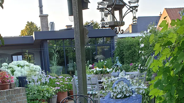 foto uit mijn tuin