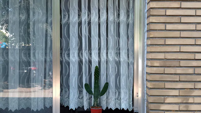 Dit lijkt een beetje op een cactus - Zwerm/Bad van Marie