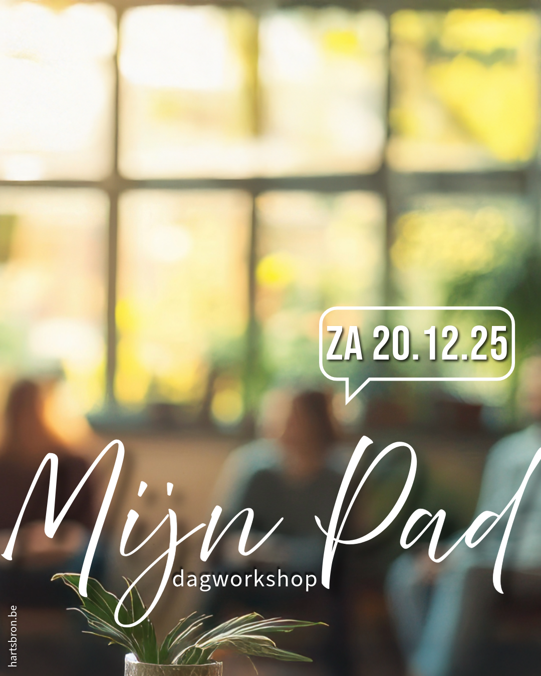 zonovergoten ruimte waar mensen flow op de achtergrond in een cirkel zitten. Op de foto staat de tekst Mijn Pad, dagworkshop, 20 december 2025. 