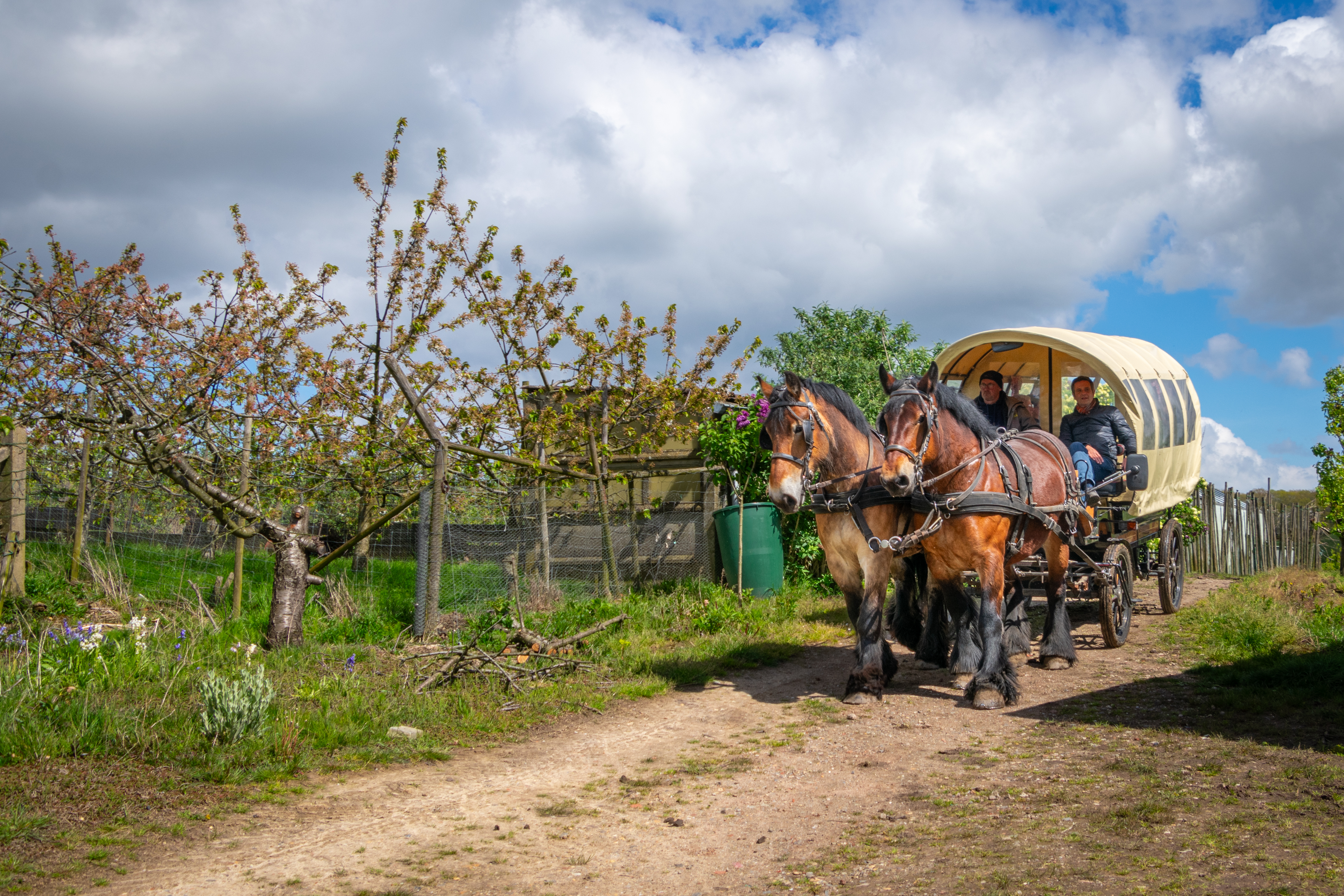 sfeerbeeld huifkartocht 2024