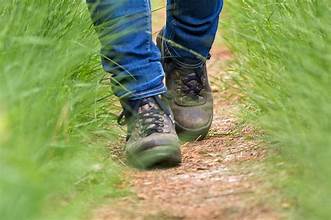 wandelschoenen natuur