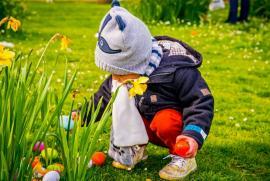 Image for gzbd activity