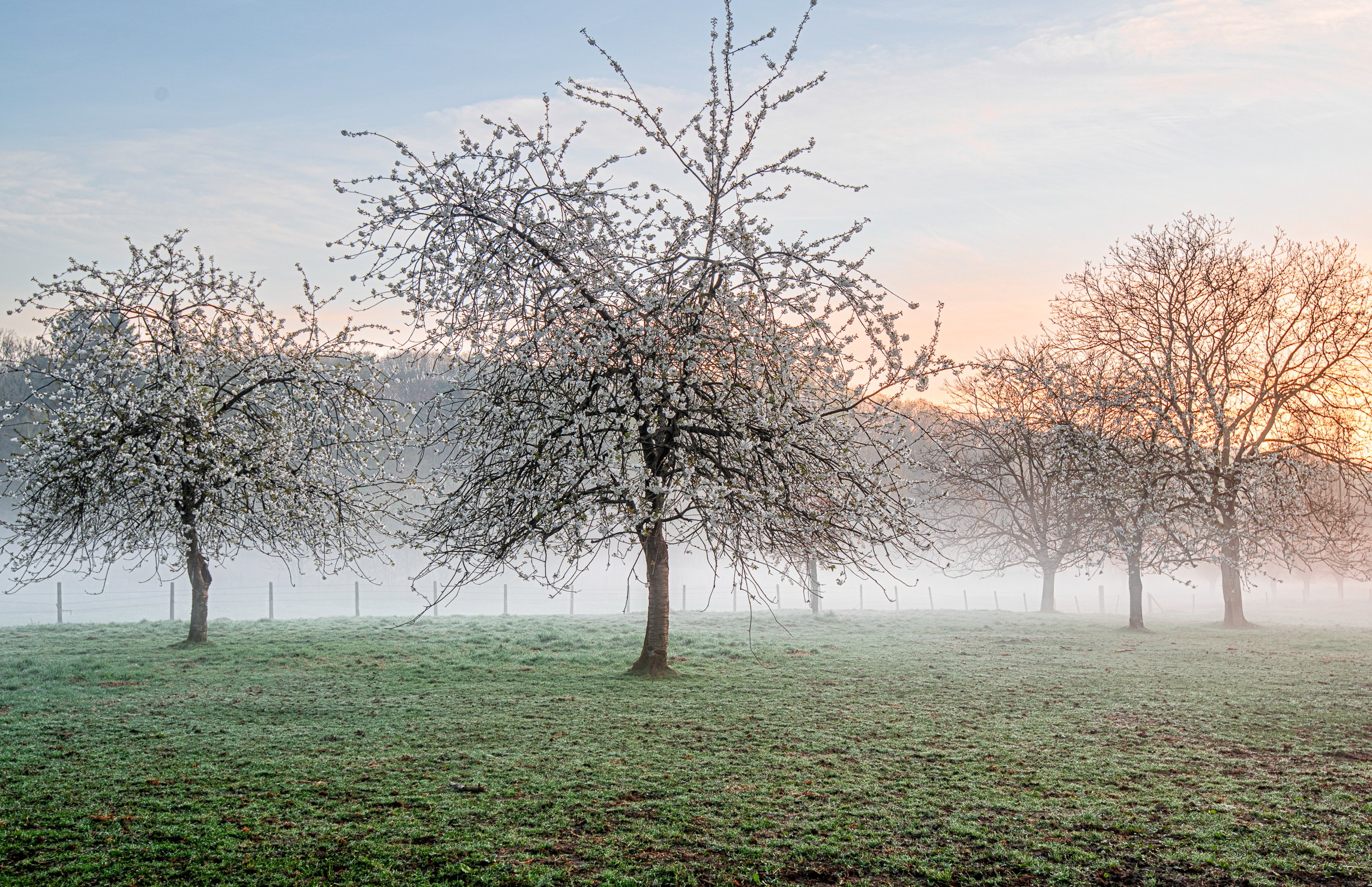 PRIMAVERA-beleving in HENGELHOEF