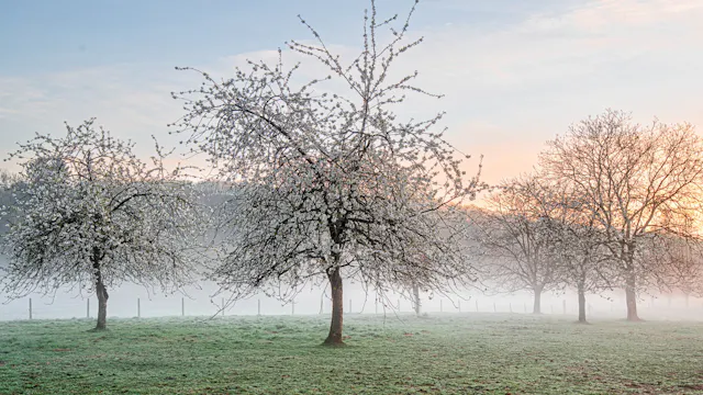 PRIMAVERA-beleving in HENGELHOEF